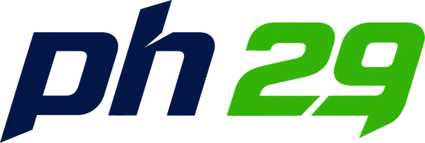 ph 29 online gaming platform logo